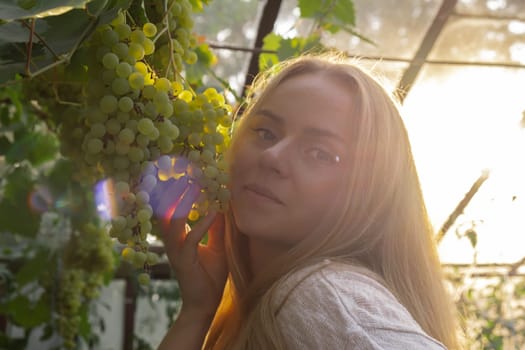 Winemaker happy for harvest grape in vineyard open air during sunset. Farmer smiles to camera Organic home gardening and cultivation of greenery concept. Locally grown fresh fruits