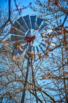 Aging windmill framed by barren branches under a clear blue sky, symbolizing enduring rural charm.