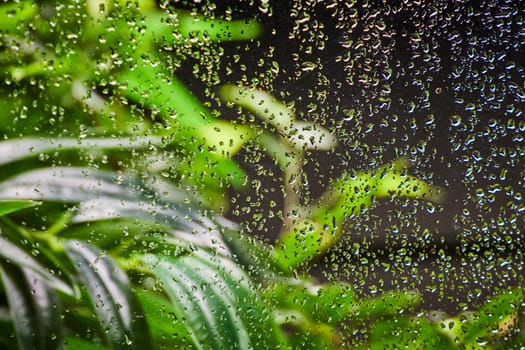 Raindrops on window with lush garden view, symbolizing tranquility and renewal after rain in Fort Wayne.