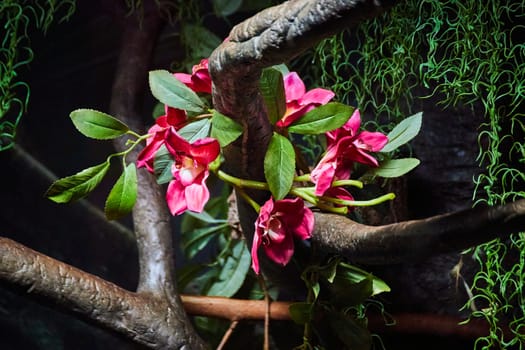 Enchanted pink blossoms amidst mossy branches in Fort Wayne, capturing a mystical forest vibe.