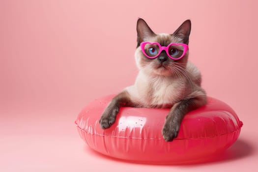 A cat wearing pink sunglasses is sitting on a pink inflatable pool.