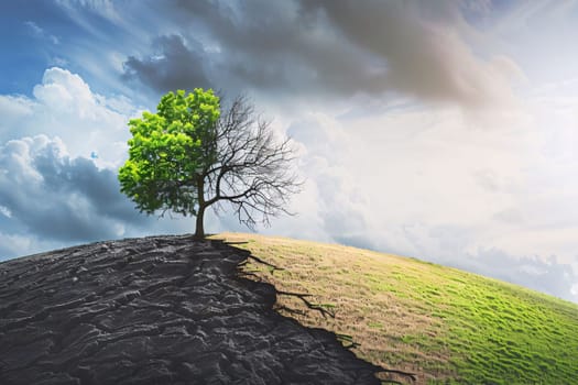 Earth Day: Green tree on the hill with blue sky background. 3d rendering