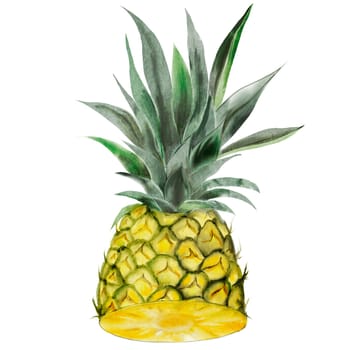 Pineapple watercolor. Half of a tropical fruit with green leaves on an isolated white background. For designing recipes, educational cards and tropical cocktail menus