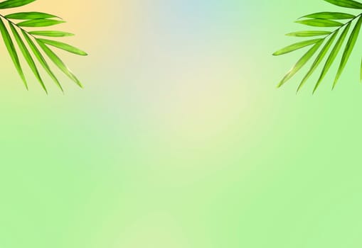 Creative layout made of colorful tropical leaves on white background. Minimal summer exotic concept with copy space.