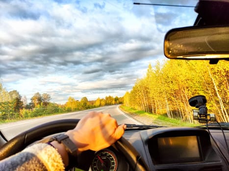 Car salon, windshield, hand of woman on steering wheel and landscape. View from seat of female driver on nature and Road, trees, blue sky at sunny day