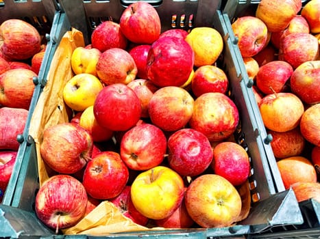 A variety of ripe apples ready for purchase. Fresh Apples Displayed for Sale at Local Market