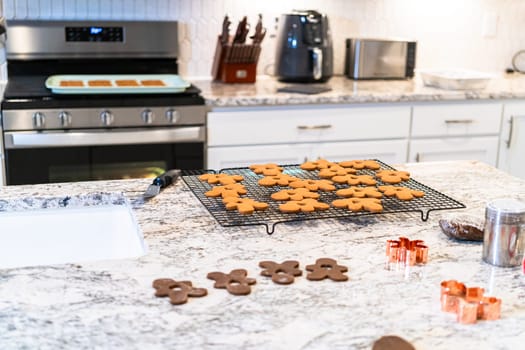 In a contemporary white kitchen, gingerbread cookie dough is skillful