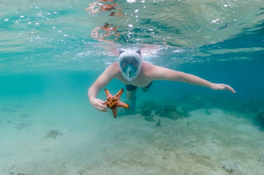 Snorkeler reaches for starfish in crystal clear tropical waters