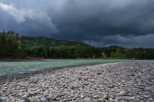 Fast mountain river Katun in Altay, Siberia, Russia. Cloudy skies before the rain