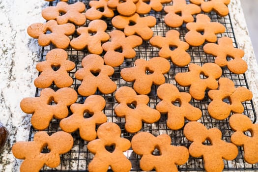 Freshly baked gingerbread cookies find their place on a cooling wire rack in a modern white kitchen, filling the air with festive aromas.