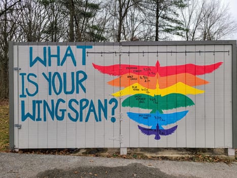 Interactive bird wingspan mural in Fort Wayne invites viewers to measure up against vibrant, educational art.