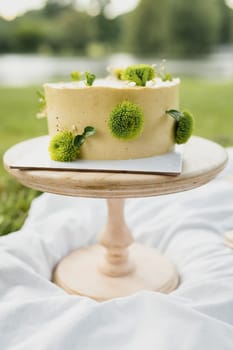 A delicious cake sits gracefully on a cake stand in a lush green grassy area, bathed in natural light.