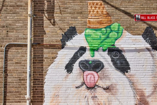 Colorful panda mural with ice cream hat on Bill Blass St, Fort Wayne, capturing urban art charm.