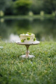 A beautifully decorated cake sits on a plate against the tranquil backdrop of a stunning lake.