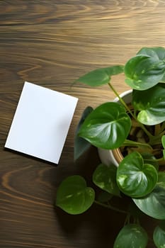 A blank white sheet of paper sits peacefully on a wooden table, adorned with vibrant green plants all around.