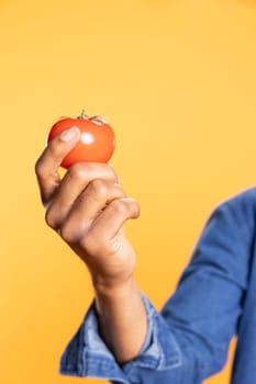 African american guy shows a natural ripe tomato in front of the camera, presenting an ethically sourced veggie from the local farmers market. Man admires bio fresh produce. Close up.