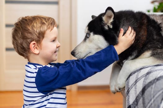 A young boy in a striped shirt smiles as he affectionately pets his husky, capturing a heartwarming interaction between a child and his loyal pet inside a cozy room.