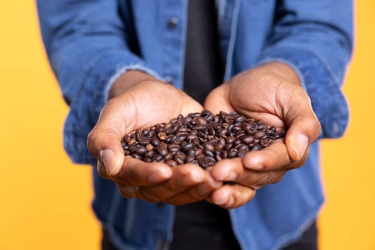 Coffee lover examining aromatic roasted beans against yellow background, promoting cold brew at a coffee shop or roastery. Enjoying freshness of delicious black seeds and grains. Close up.