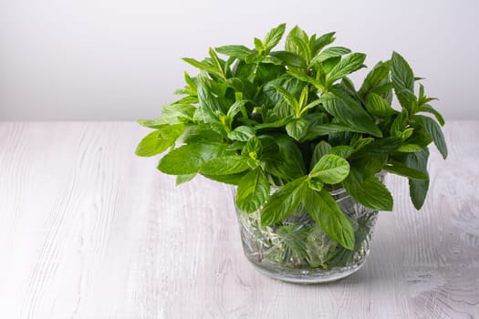 Glass vase filled with fragrant mint sprigs.