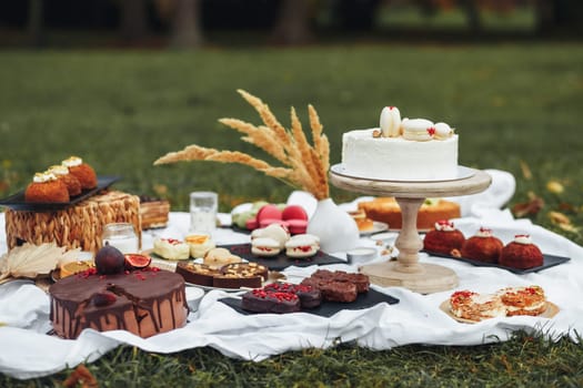 A delightful picnic in the park, featuring a variety of scrumptious desserts laid out on a colorful blanket.