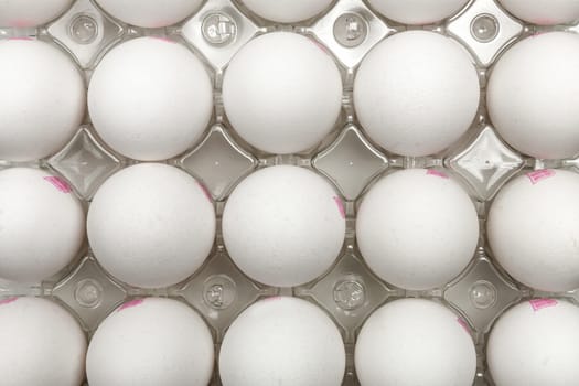 Raw white chicken eggs in tray on white background. Organic food from nature.