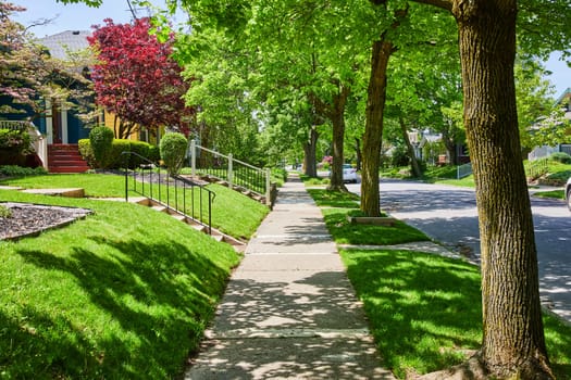 Sunny suburban street in Fort Wayne with colorful homes and lush greenery, embodying community and tranquility.