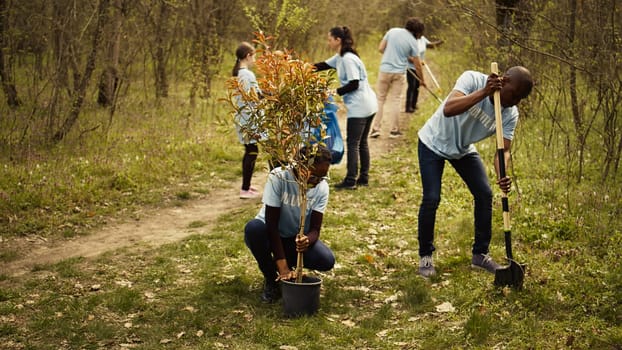 African american ecologic activists planting seedlings in a forest environment, working together in unity to preserve and protect the natural habitat. Growing trees project. Camera B.