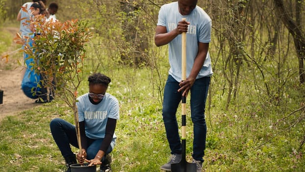 African american volunteers team digging holes and planting trees in a forest, doing litter cleanup and putting seedlings in the ground for nature cultivation concept. Conservation project. Camera A.