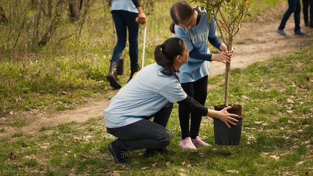 Climate activists planting new trees in a woodland ecosystem, digging holes and putting seedlings in the ground. Volunteers working on preserving nature and protecting the environment. Camera A.