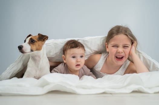 A little girl and her five-month-old brother and Jack Russell Terrier dog lie wrapped in a blanket