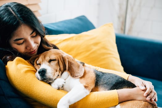 A heartwarming scene of togetherness, a young Asian woman and her Beagle dog nap on the sofa in the living room, epitomizing the concept of trust, happiness, and love at home. Pet love