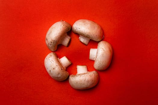 five white mushrooms on a red background.