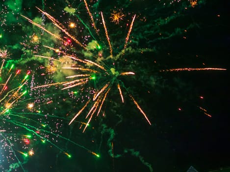 Shot of the fireworks in the night sky