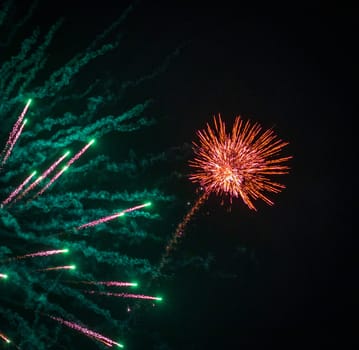 Shot of the fireworks in the night sky