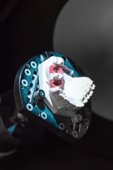 mock-up of a human jaw implant in a dental workshop.