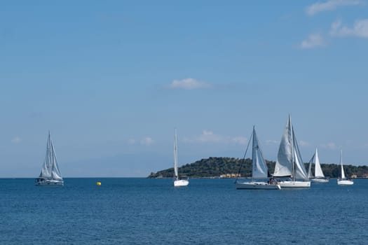 A fleet of sailboats peacefully gliding across the vast expanse of water, under the clear blue sky dotted with fluffy clouds, showcasing the beauty of outdoor recreation on the lake