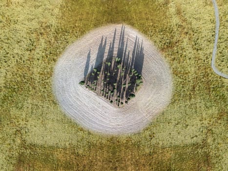 Tuscan landscape on a road of cypress trees near San Quirico d Orcia, Italy