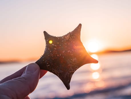 A hand with dark nail polish holds a starfish up towards the sunset, with the ocean and mountains in the background. The sky is filled with vibrant colors as the sun sets over the water.