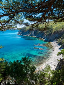 A picturesque, calm cove bordered by a rocky coastline and lush, green forest. The turquoise blue waters glisten under the midday sun, creating a serene and inviting atmosphere. Pine trees frame the scene, adding to the natural beauty.