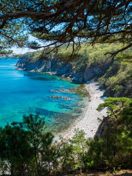 A picturesque, calm cove bordered by a rocky coastline and lush, green forest. The turquoise blue waters glisten under the midday sun, creating a serene and inviting atmosphere. Pine trees frame the scene, adding to the natural beauty.