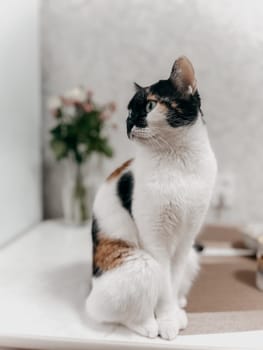 A colorful cat with green eyes sits on a desk next to a vase of flowers, looking directly at the camera with a curious expression.