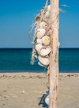 A wooden post adorned with shells stands on an empty sandy beach. The calm blue ocean water is visible in the background, and the sky is clear and blue, indicating a bright summer day.