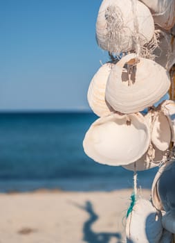 A collection of white seashells is artistically strung together and hangs by a sandy beach, with a clear blue ocean and sky in the background.