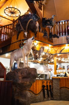 A full-size gray wolf standing on a rock taxidermy display in a restaurant with wood-paneled walls and a balcony.