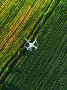 A bird's-eye view of a drone flying over cultivated fields, showcasing the intersection of modern technology with traditional agriculture. The vivid green hues speak to fertility within the farmland