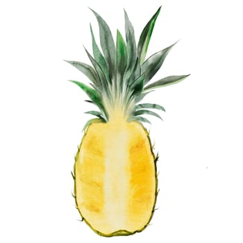 Pineapple watercolor. Half of a tropical fruit with green leaves on an isolated white background. For designing recipes, educational cards and tropical cocktail menus, for packaging natural cosmetics