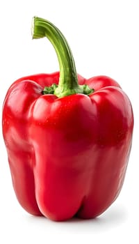 A red bell pepper, a staple food and superfood, with a green stem on a white background. This whole food ingredient is a natural produce, a local vegetable