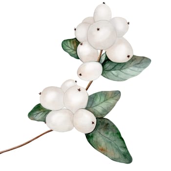 Mistletoe watercolor. Hand drawn snowberry isolated on white background. Realistic white berry with green leaves. Ideal for Christmas and New Year card designs and natural cosmetics packaging. High quality photo