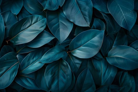 A closeup view of electric blue leaves against a dark grey background, showcasing a beautiful pattern of aqua petals. This artistic image features a terrestrial plant in vibrant colors