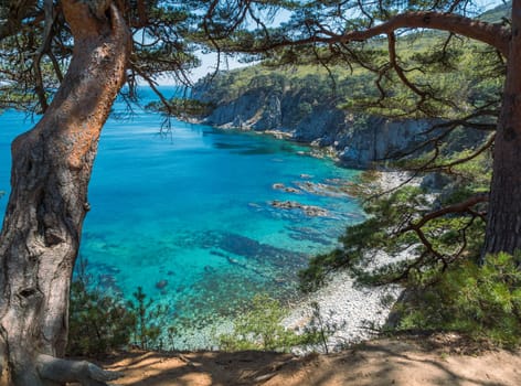 A picturesque, calm cove bordered by a rocky coastline and lush, green forest. The turquoise blue waters glisten under the midday sun, creating a serene and inviting atmosphere. Pine trees frame the scene, adding to the natural beauty.